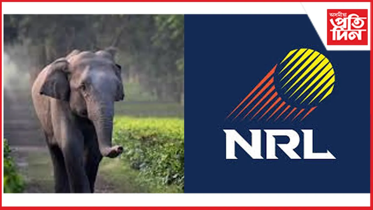 বন্যহস্তীক বন বিভাগৰ অজ্ঞাতে সমাধিস্থ কৰা দুই NRL ৰ দুই বিষয়াৰ বিৰুদ্ধে অপৰাধ প্ৰতিবেদন দাখিল
