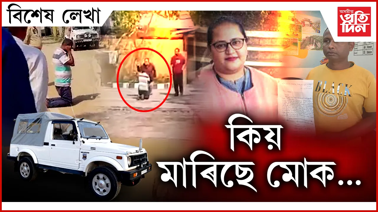 িু্িু