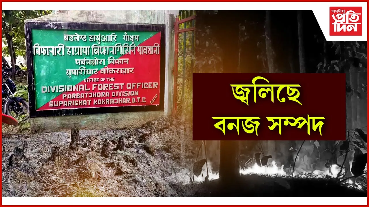 জ্বলিছে বনজ সম্পদ