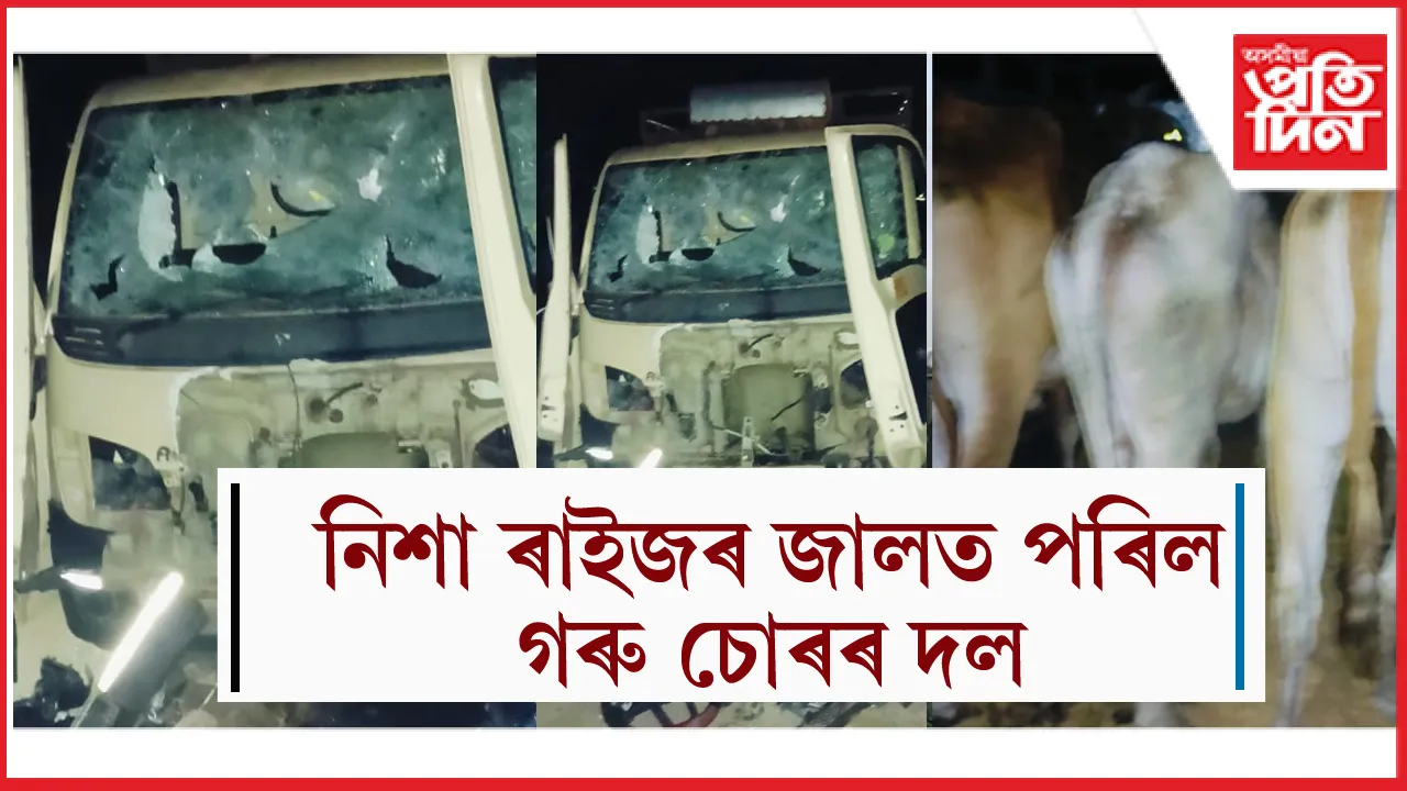 ৰাইজৰ ৰোষত পৰিলে দুটাকৈ গৰু চোৰঃ  উত্তেজিত একাংশই ভাঙিলে বাহন...