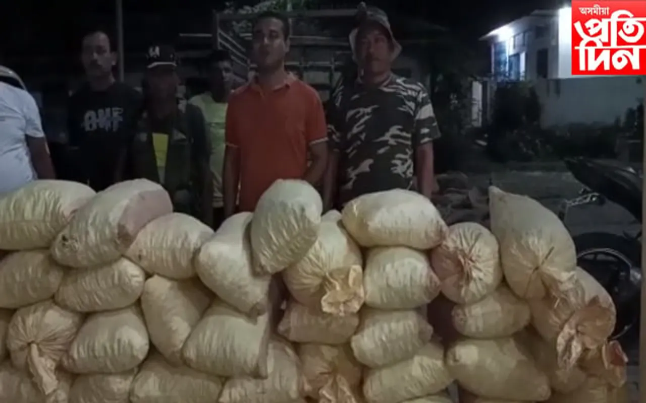 নতুন কৌশলৰে ৰাজ্যত চুপাৰীৰ চিণ্ডিকেট