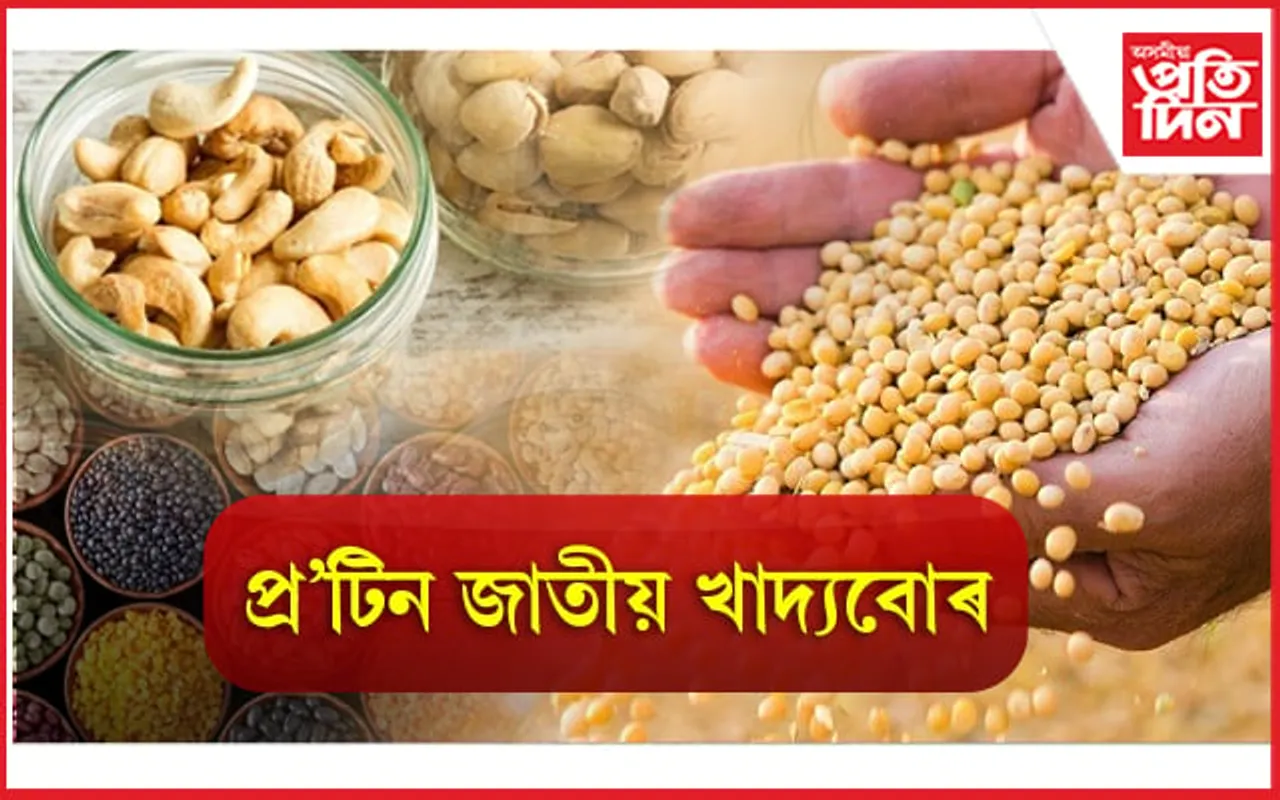 কেৱল মাছ-মাংসই নহয়,প্ৰ’টিনৰ বাবে এইবোৰ খাদ্যও খাওঁক 