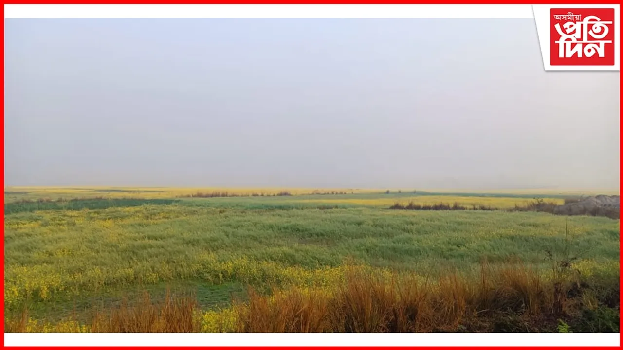 ঢকুৱাখনাত নিদ্ৰাত মগ্ন কৃষি বিভাগ, পোকে নষ্ট কৰিলে হাজাৰ বিজাৰ হেক্টৰ খেতি