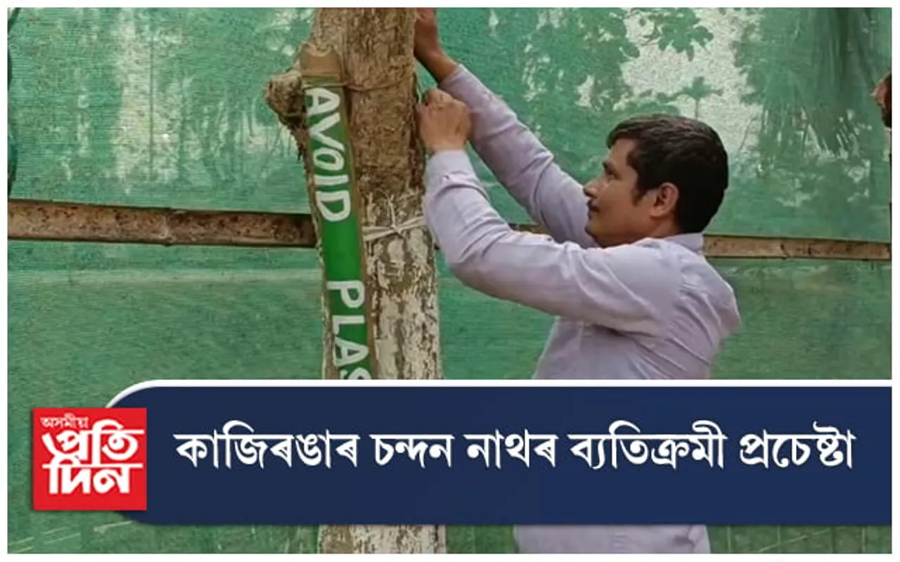 প্ৰতিজোপা গছ,অতিথিশালাত আৰি দিছে পৰিৱেশ তথা প্লাষ্টিক বিৰোধী সজাগতা বাণী...