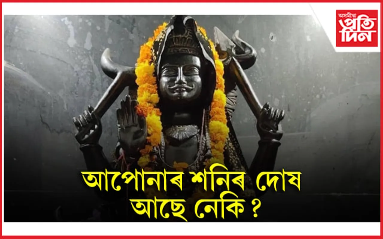 আজিয়েই ঘৰত ৰোপন কৰক এইজোপা গছ
