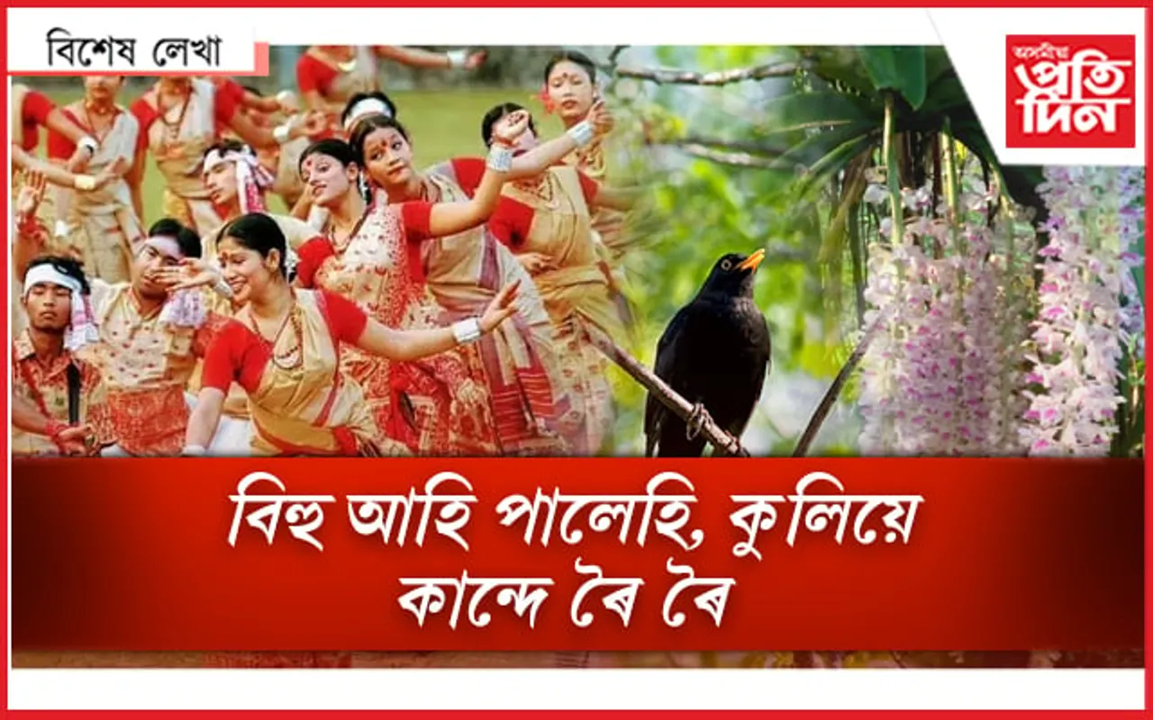 বিহুৱে গঢ়িব ৰেকৰ্ডঃ গামোচাই পাব সন্মান !
