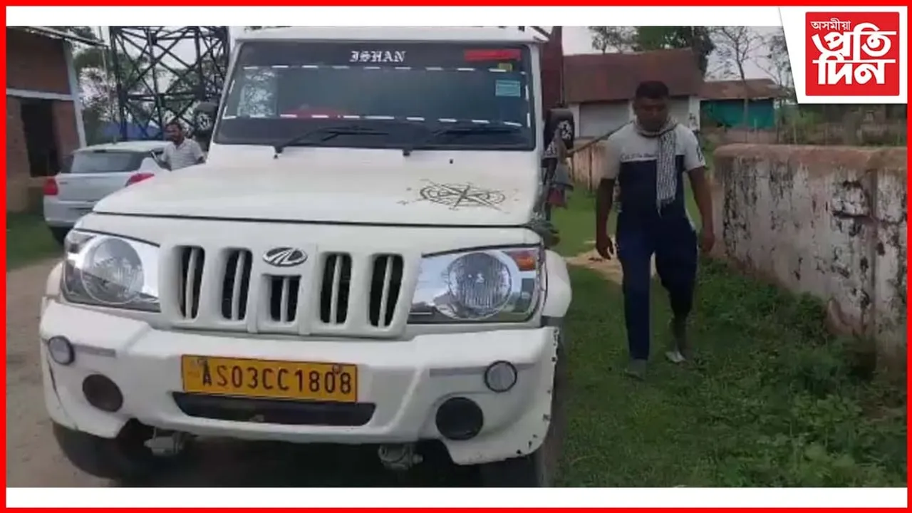 মৰিয়নিত সাঁচি ভৰ্তি বলেৰ পিকআপ ভেন জব্দ