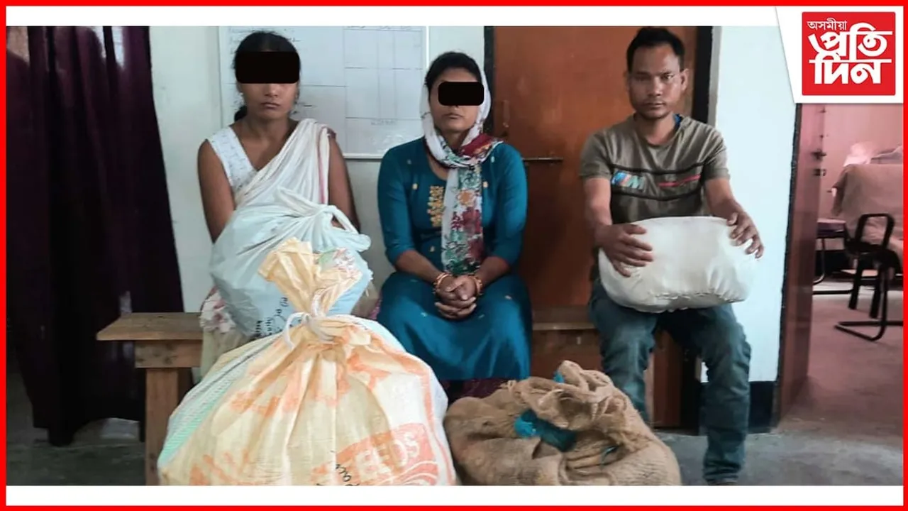 তিনি ভাং বেপাৰীক লখিমপুৰ ন্যায়িক জিম্মালৈ প্ৰেৰণ