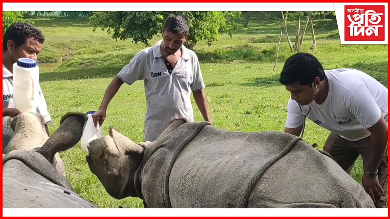 কাজিৰঙাৰ বন্যপ্ৰাণী উদ্ধাৰ আৰু পুনৰ সংস্থাপন কেন্দ্ৰৰ আদৰণীয় পদক্ষেপ 