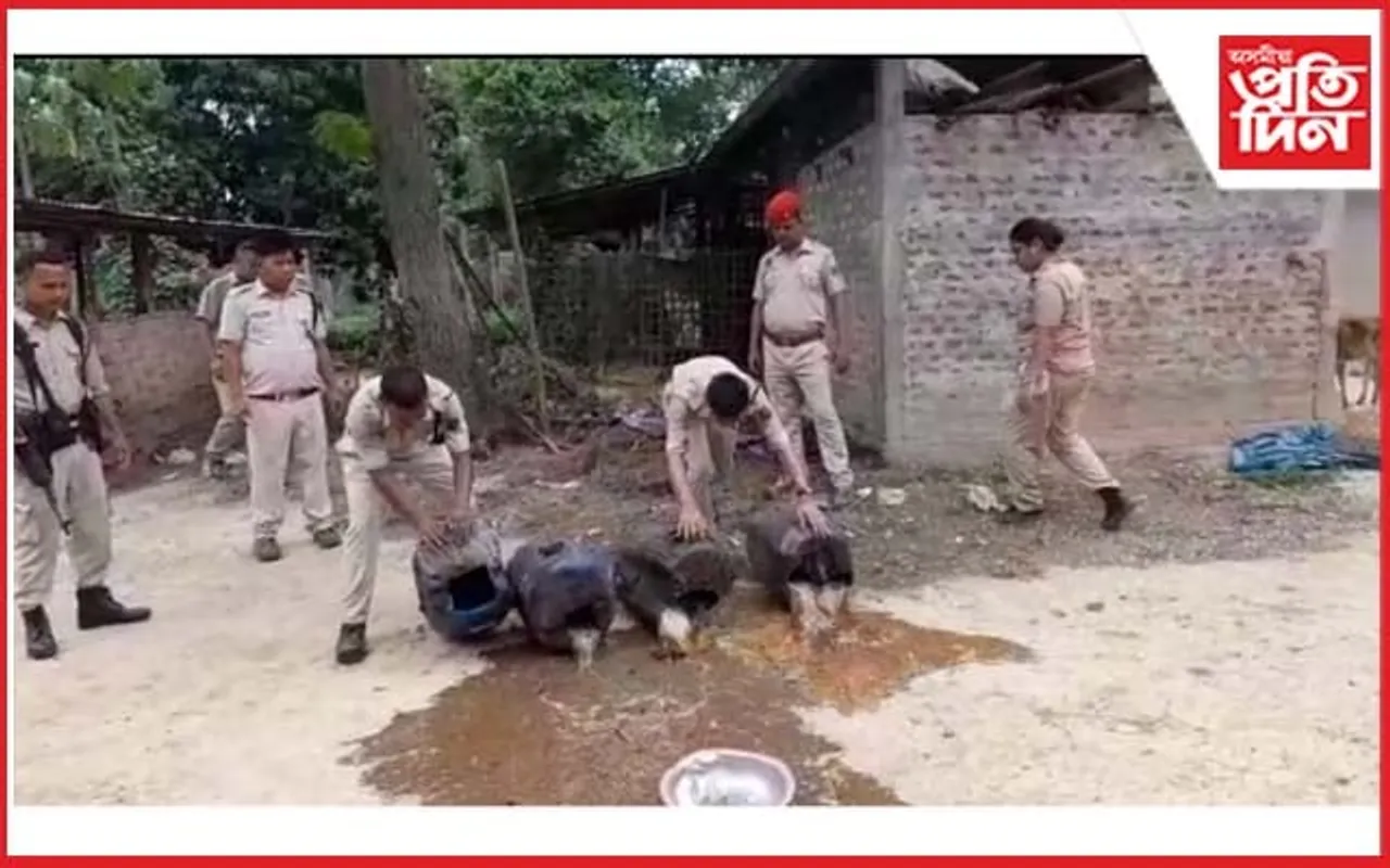 চৰাইদেউত অবৈধ সুৰাৰ বিৰুদ্ধে আবকাৰীৰ অভিযান...
