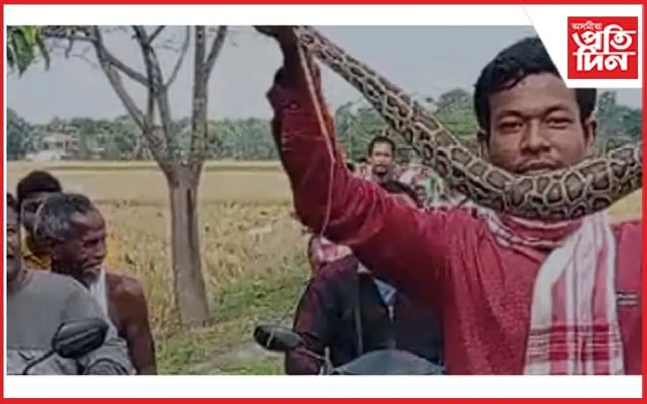 চৰাইদেউৰ দুৱাৰ গাঁৱত অজগৰ উদ্ধাৰ