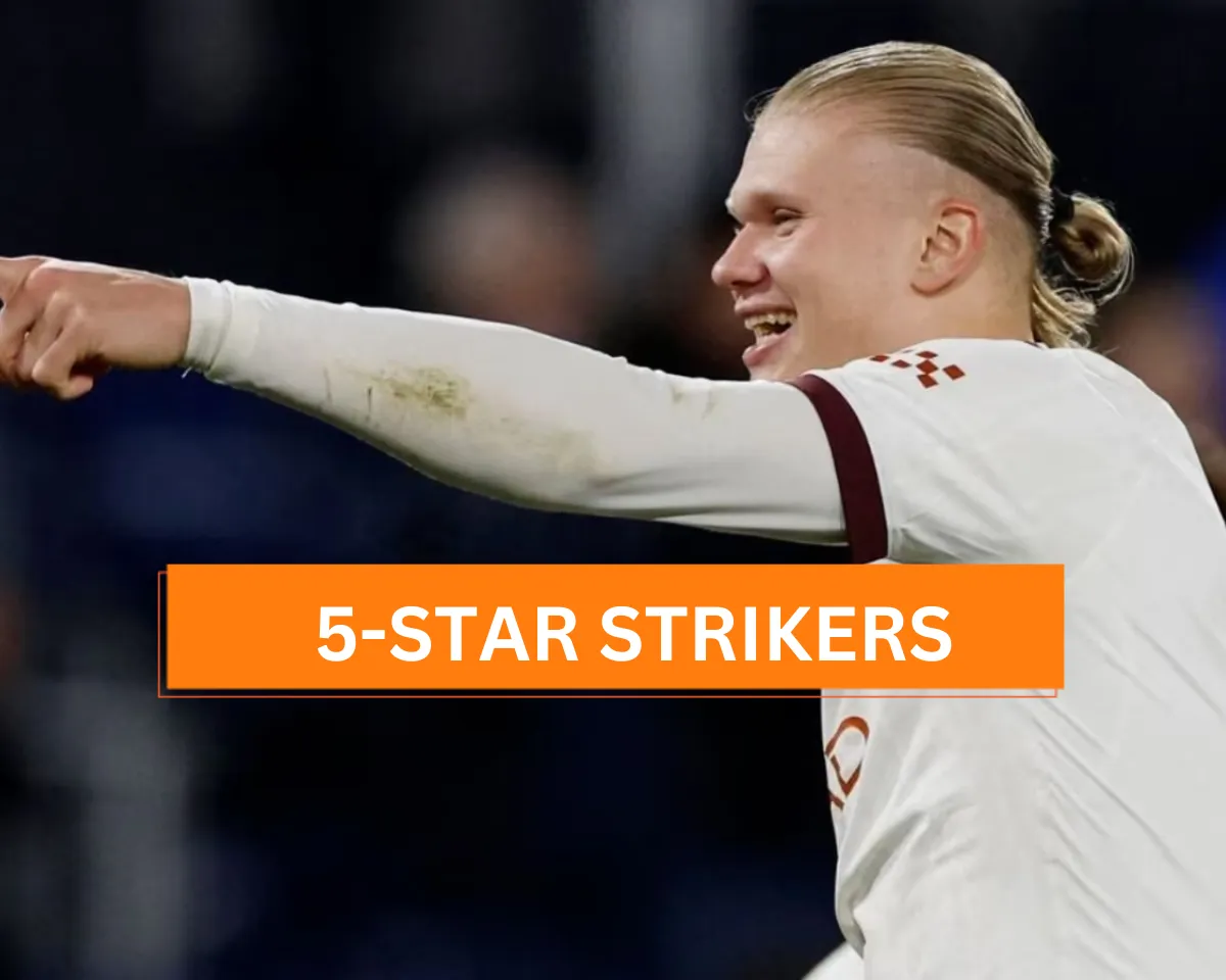 Erling Haaland scores 5 goals in a single match (File Photo: X) 