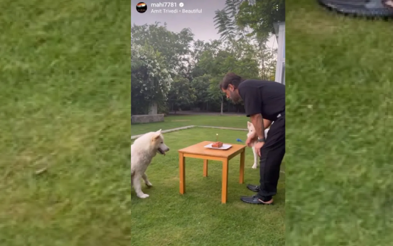 'Cutest video on internet'- Fans react as MS Dhoni celebrates 42nd birthday calmly with his pets, video goes viral