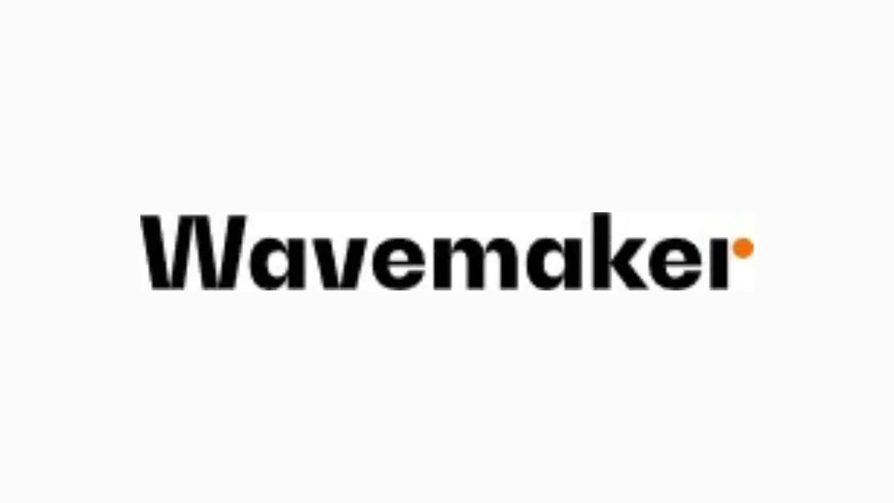 wavemaker mesh