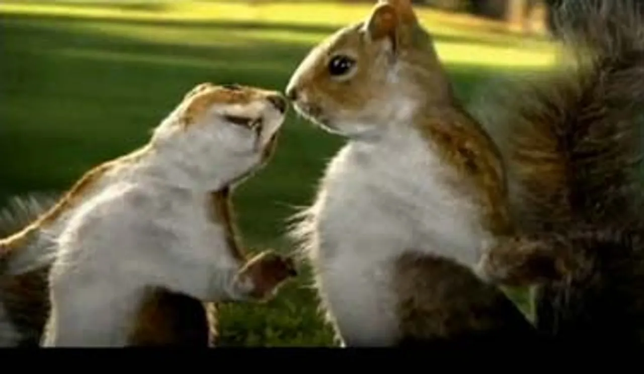 Squirrels Get A Break In KitKat's New Ad