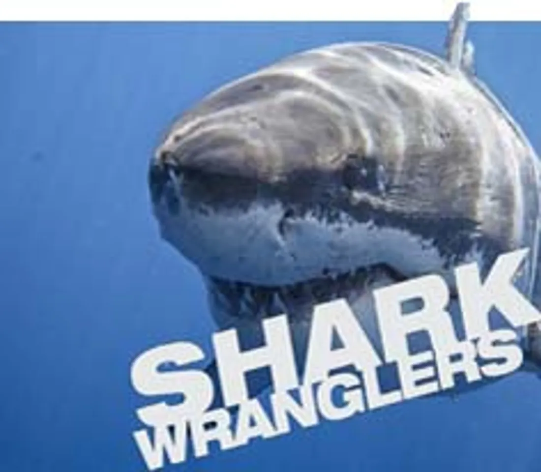 History TV18 brings new show 'Shark Wranglers'