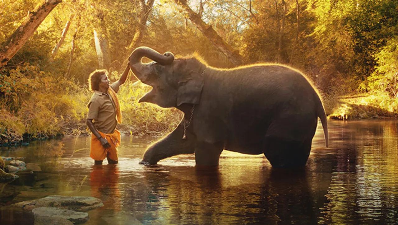 Netflix's The Elephant Whisperers bags nomination at 95th Oscars