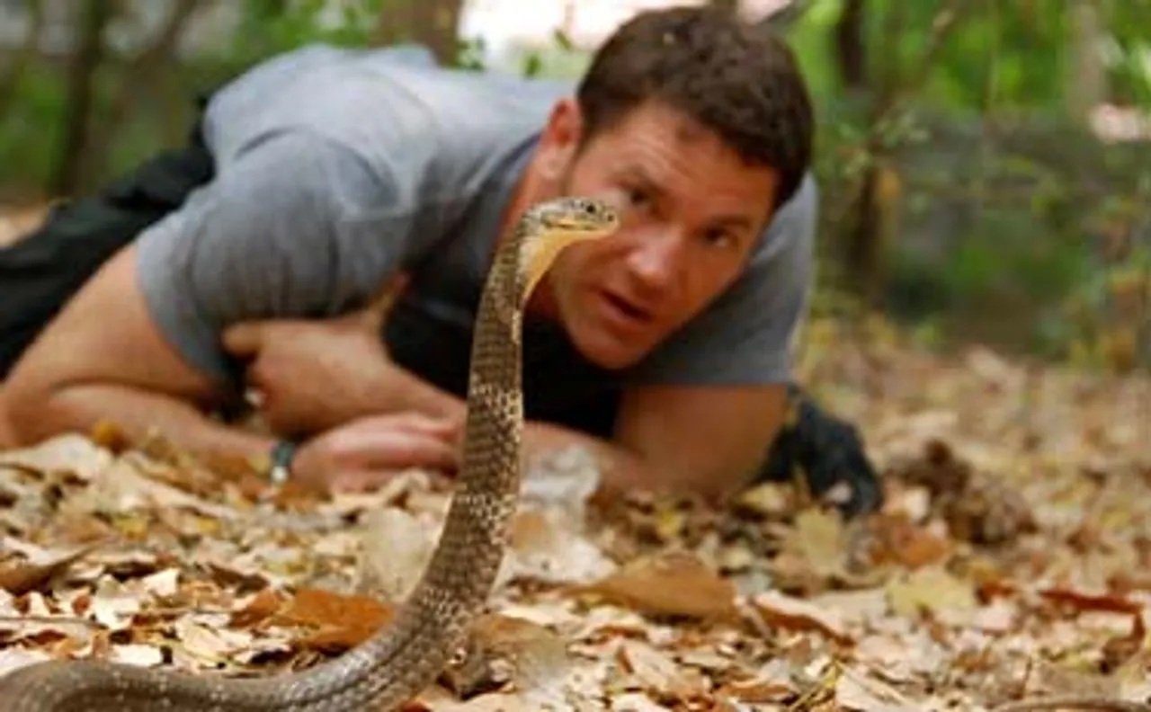 Animal Planet explores the diverse wildlife of India in 'Wild Encounters'