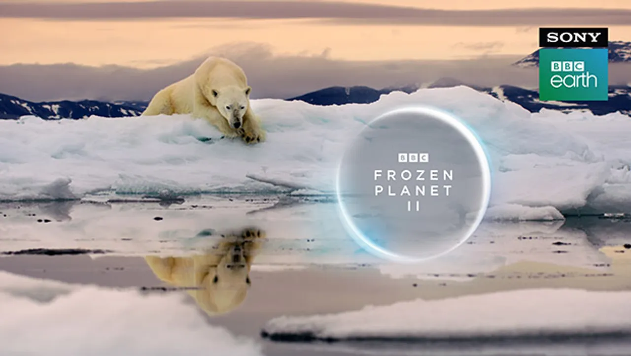 Sony BBC Earth to premiere 'Frozen Planet II' narrated by Sir David Attenborough
