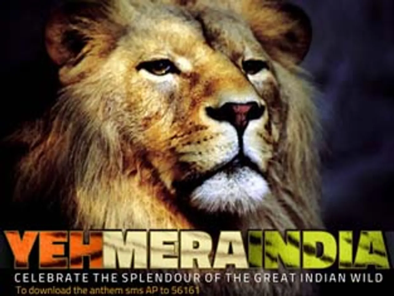 Animal Planet celebrates India's wildlife with 'Yeh Mera India'