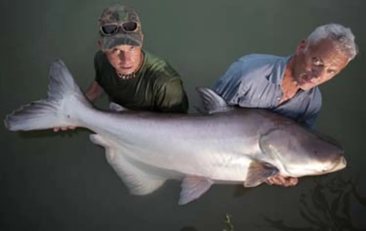 Extreme angler explores more mysteries in Animal Planet's River Monsters