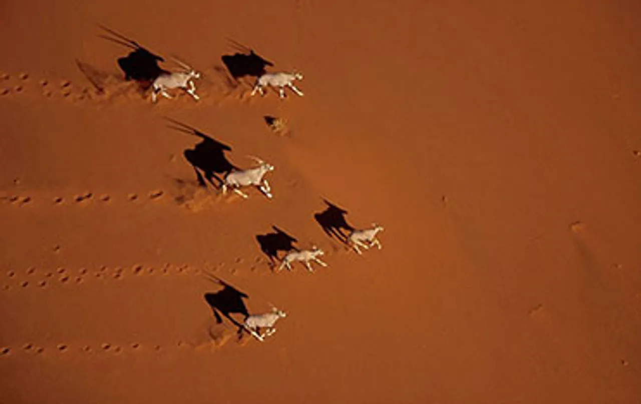 Discovery HD World gives a peek into the deserts of the world