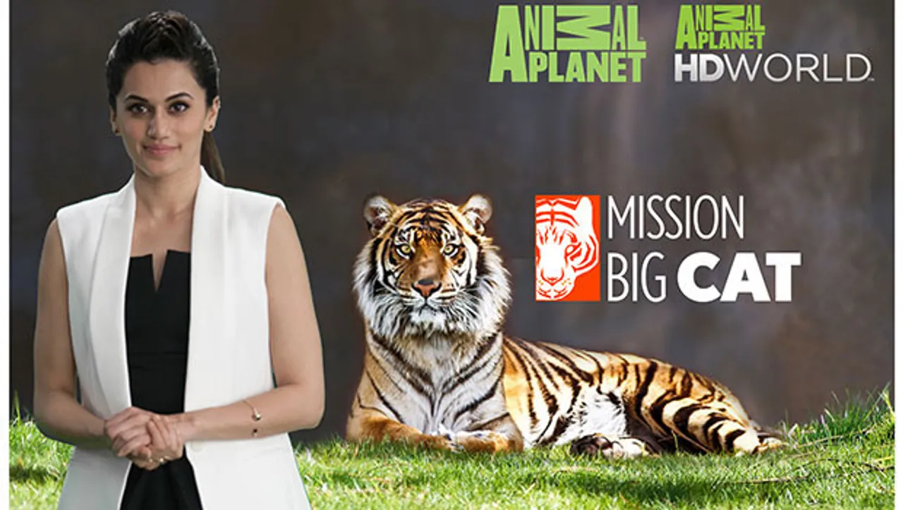 Animal Planet presents 'Mission Big Cat' to educate viewers on need to save tigers