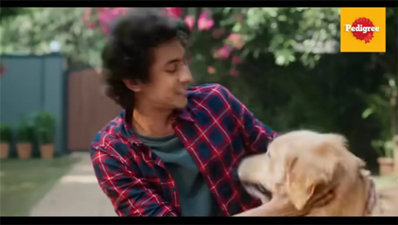 Mars Petcare launches 'See the Difference in 6 Weeks' film in its new Pedigree campaign