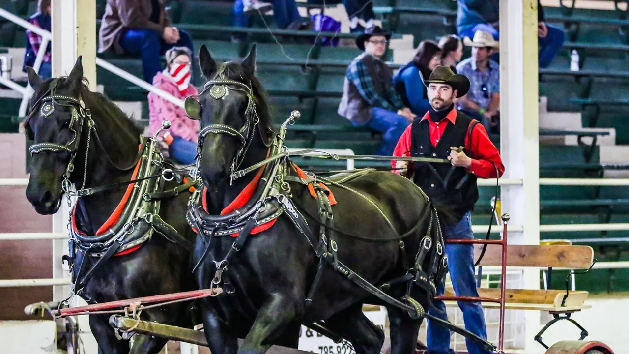 Equifest of Kansas Gallops Back to Salina Horse Lovers' Premier Event