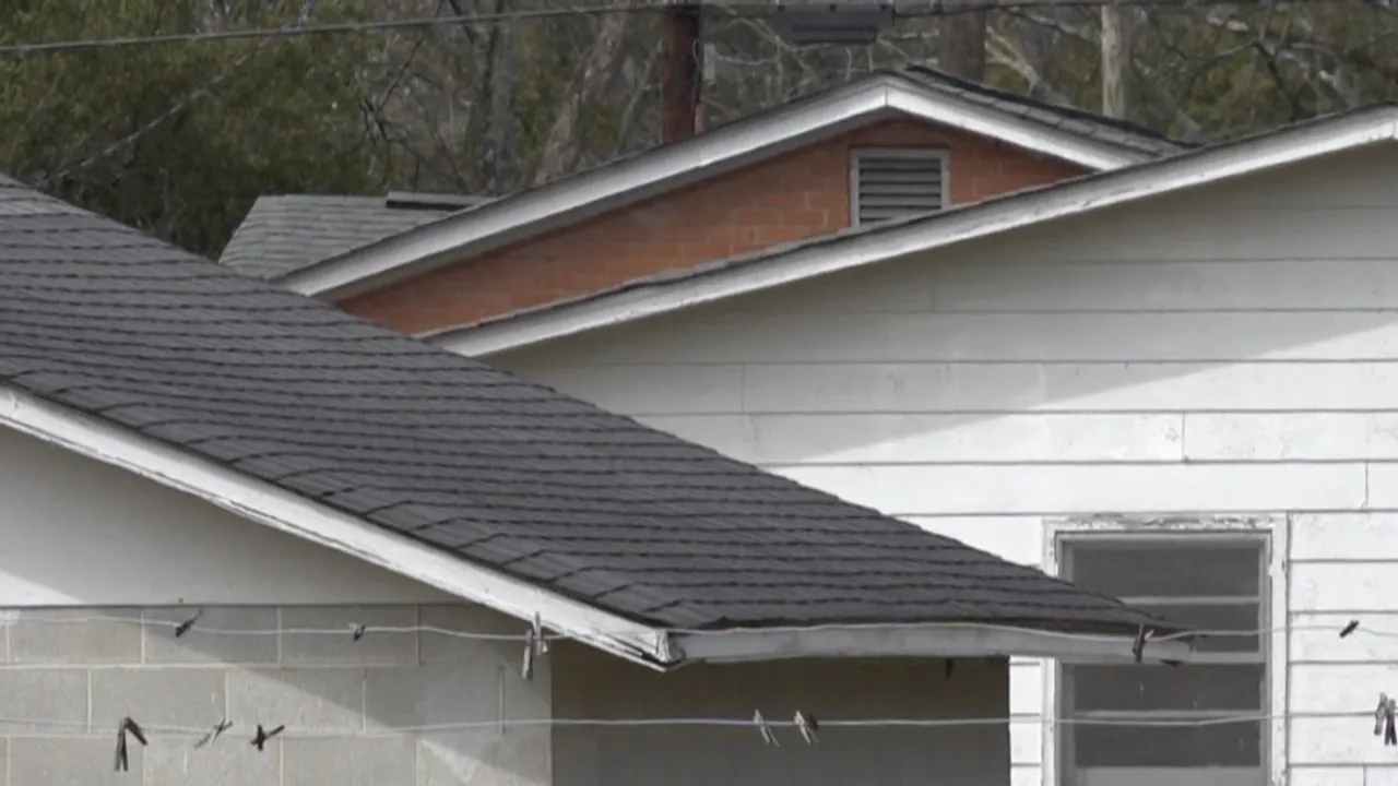 Salesforce's 2M Catalyst Fund Boosts Education, Climate Justice