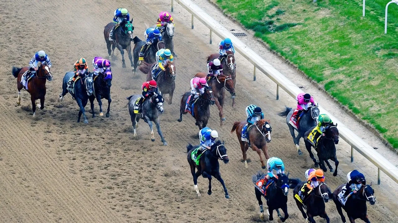 Tampa Bay Derby Showdown Domestic Product vs. No More Time in Kentucky