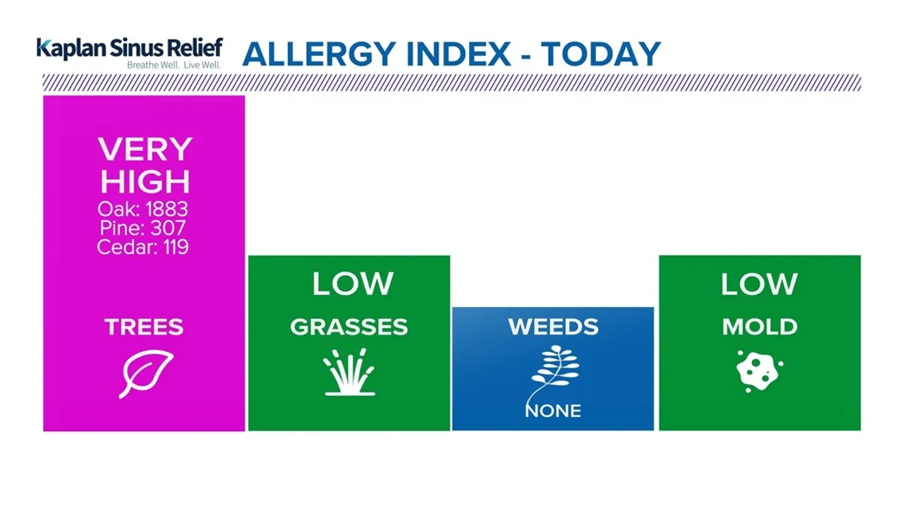 Houston's Allergy Alert Battling High Pollen Counts from Cedar, Oak