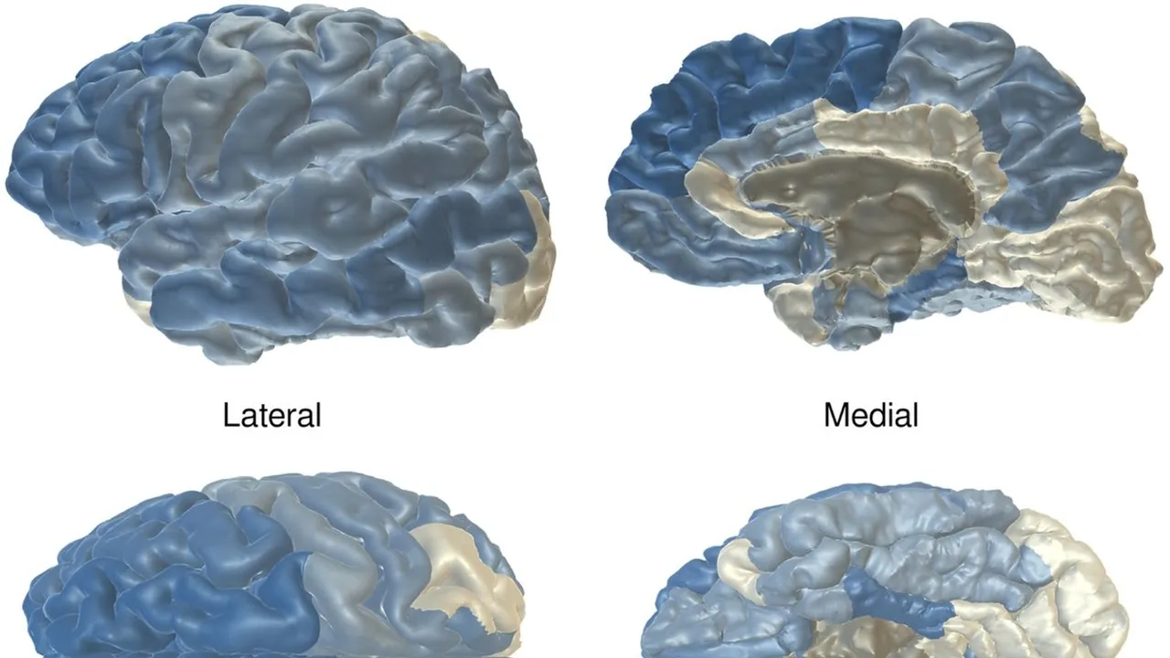 Study finds suboptimal sleep duration linked to brain damage