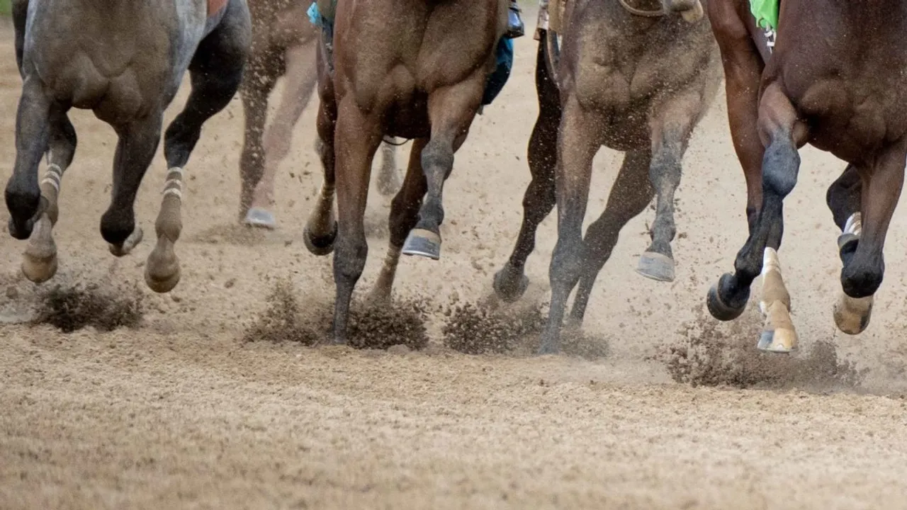 British Horse Racing Sees Decrease in Equine Fatality Rates for 2023