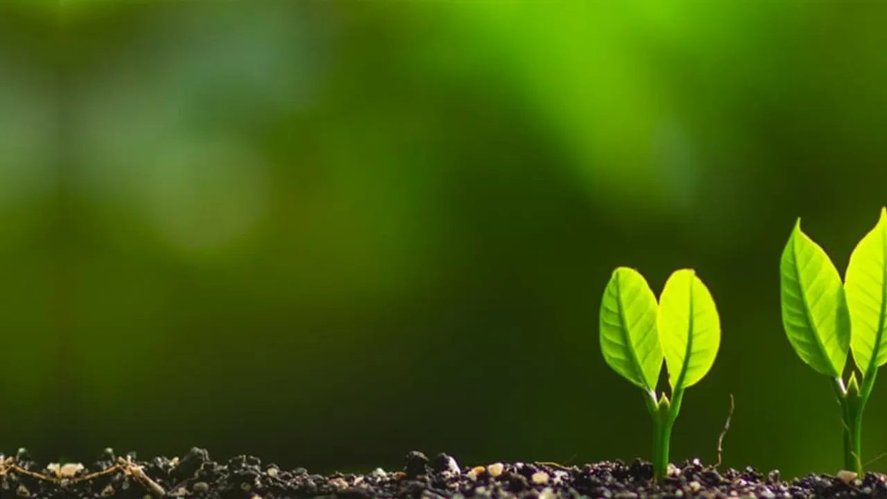 FFAR Launches 2024 Seeding Solutions Program A Leap Towards
