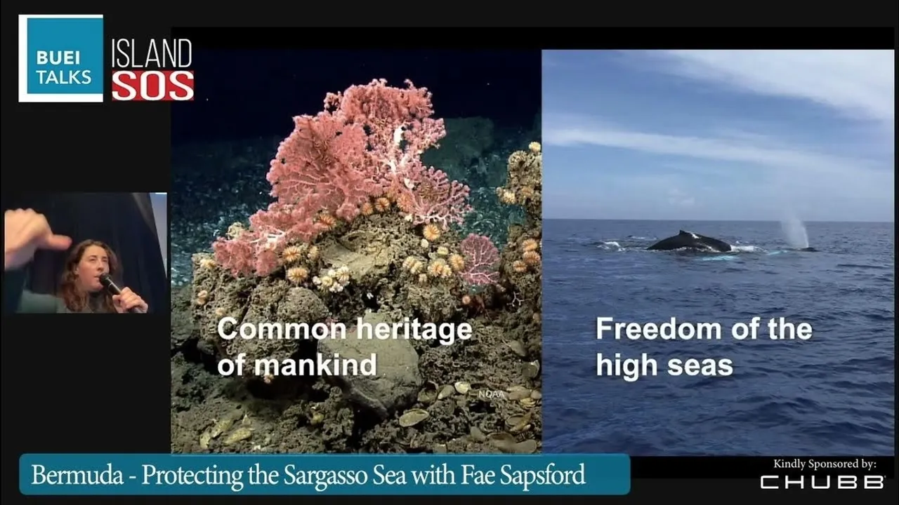 Bermuda's Robbie Smith to Discuss Sargasso Sea Conservation Efforts on March 6