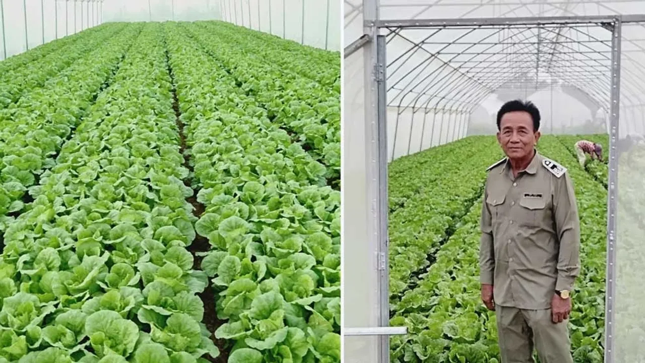 Booming Organic Vegetable Production in Cambodia Net Houses