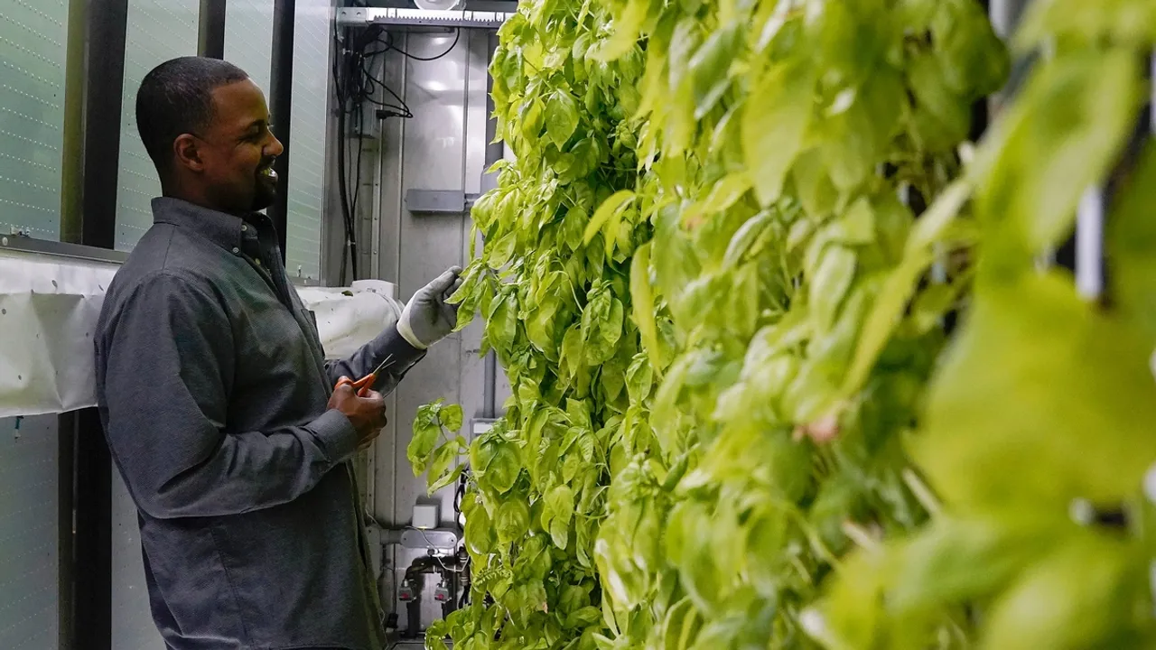 Innovative Urban Farming Flourishes in Indianapolis Through Shipping Container Hydroponics