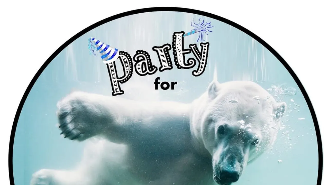 become a party planner