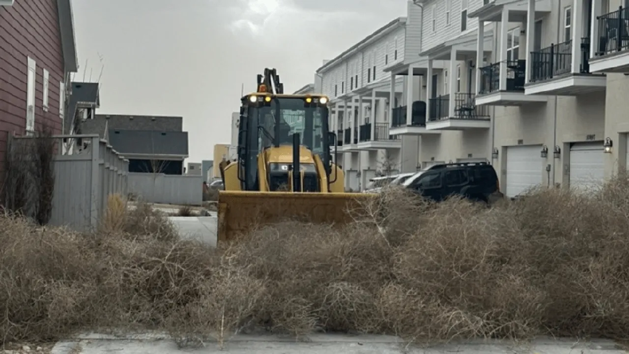 South Jordan City Combats High Winds, Tumbleweed Invasion Cleanup