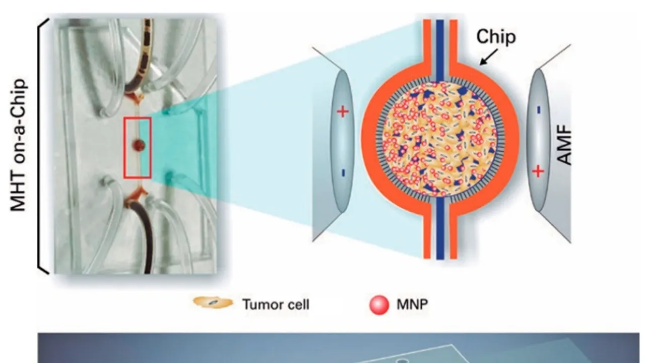 Breakthrough in Glioblastoma Treatment: Cancer-on-a-Chip Validates Anti-Tumor Drug