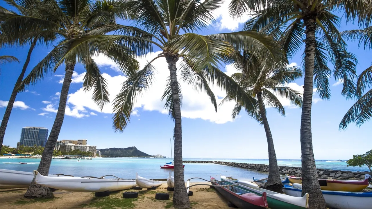 Spring Break 2024 AAA Northern California Forecasts a Surge in Travel