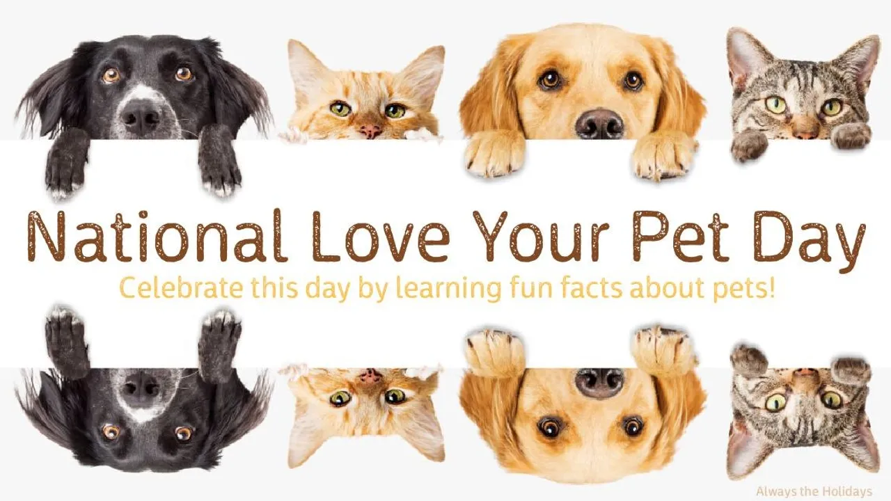 National Love Your Pet Day 2024 Celebrating Unconditional Bonds and