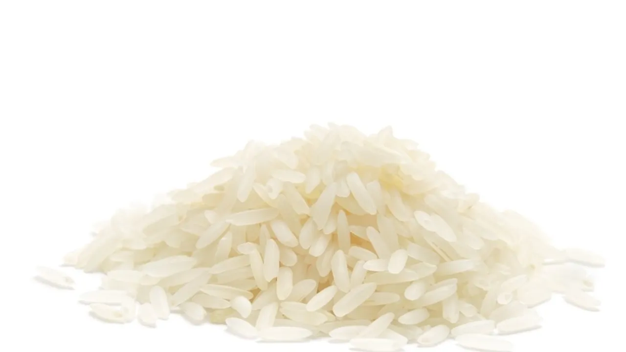 Trademark Win for USA Rice Federation: RightRice® Mark Cancelled in Trademark Dispute