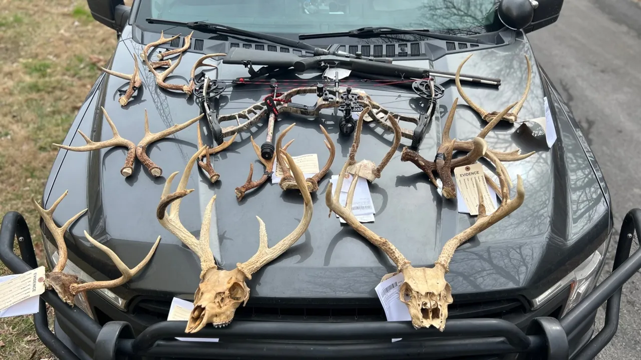 Hawkins County Man Faces Felony Conviction for Aggravated Assault, Deer