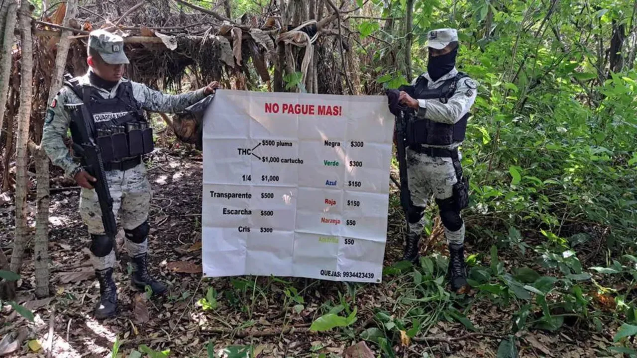 Army secured a drug camp and killed a suspected criminal during a