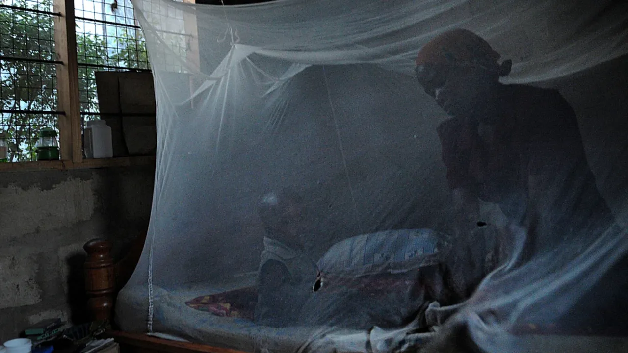 Access to tools such as mosquito nets is helping the fight against malaria <br> Image Credit: TONY KARUMBA/AFP/Getty Images