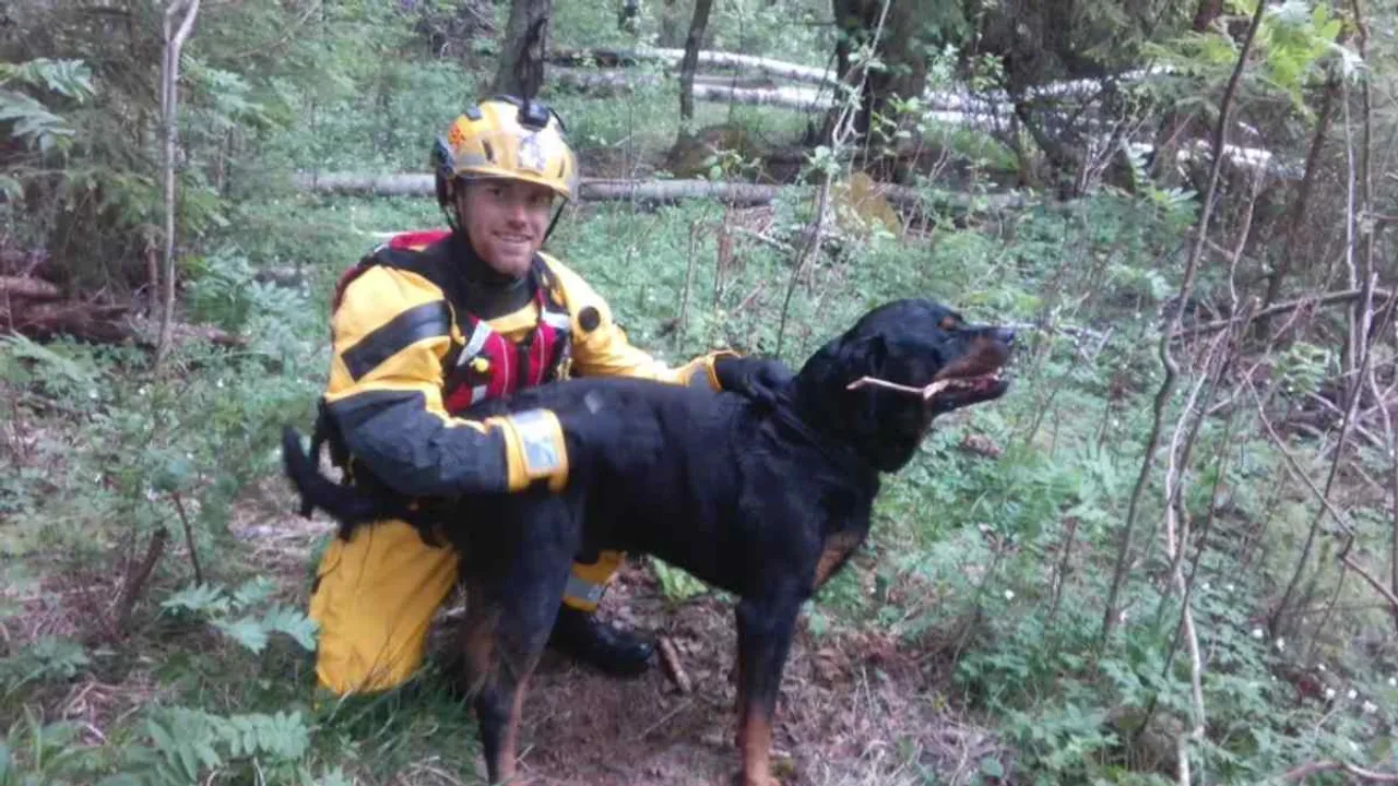 Rescued Dog<br>Image Credit: vg.no