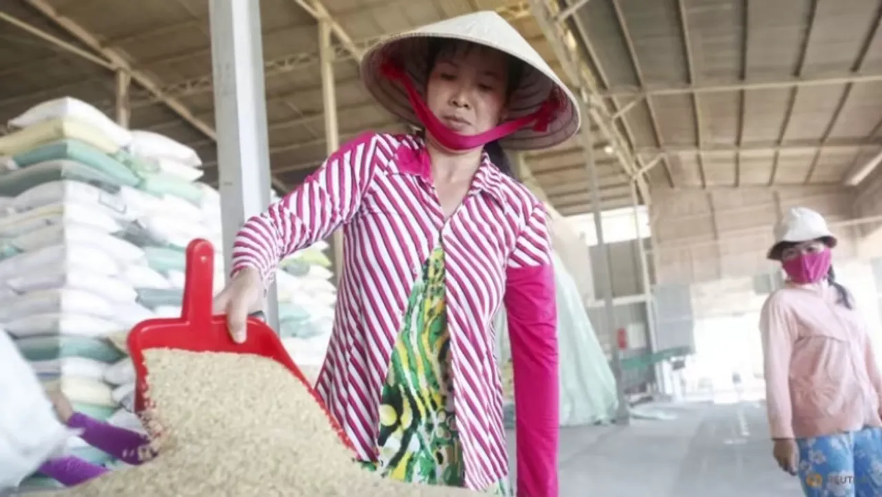 Vietnam Aims to Reduce Rice Exports and Diversify Markets by 44% to 4 Million Tonnes by 2030
