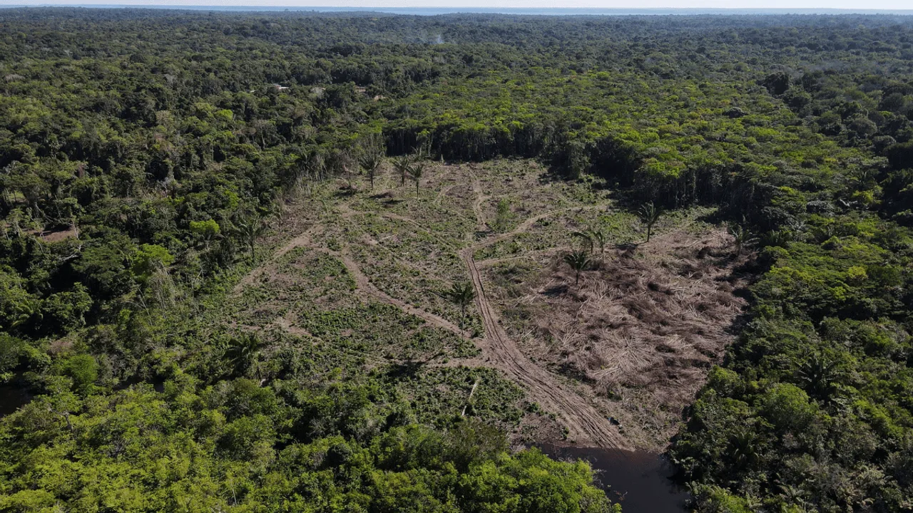 According to scientists, Indigenous lands create key buffer zones against deforestation in the Amazon, the largest tropical forest in the world <br> Image Credit: Reuters